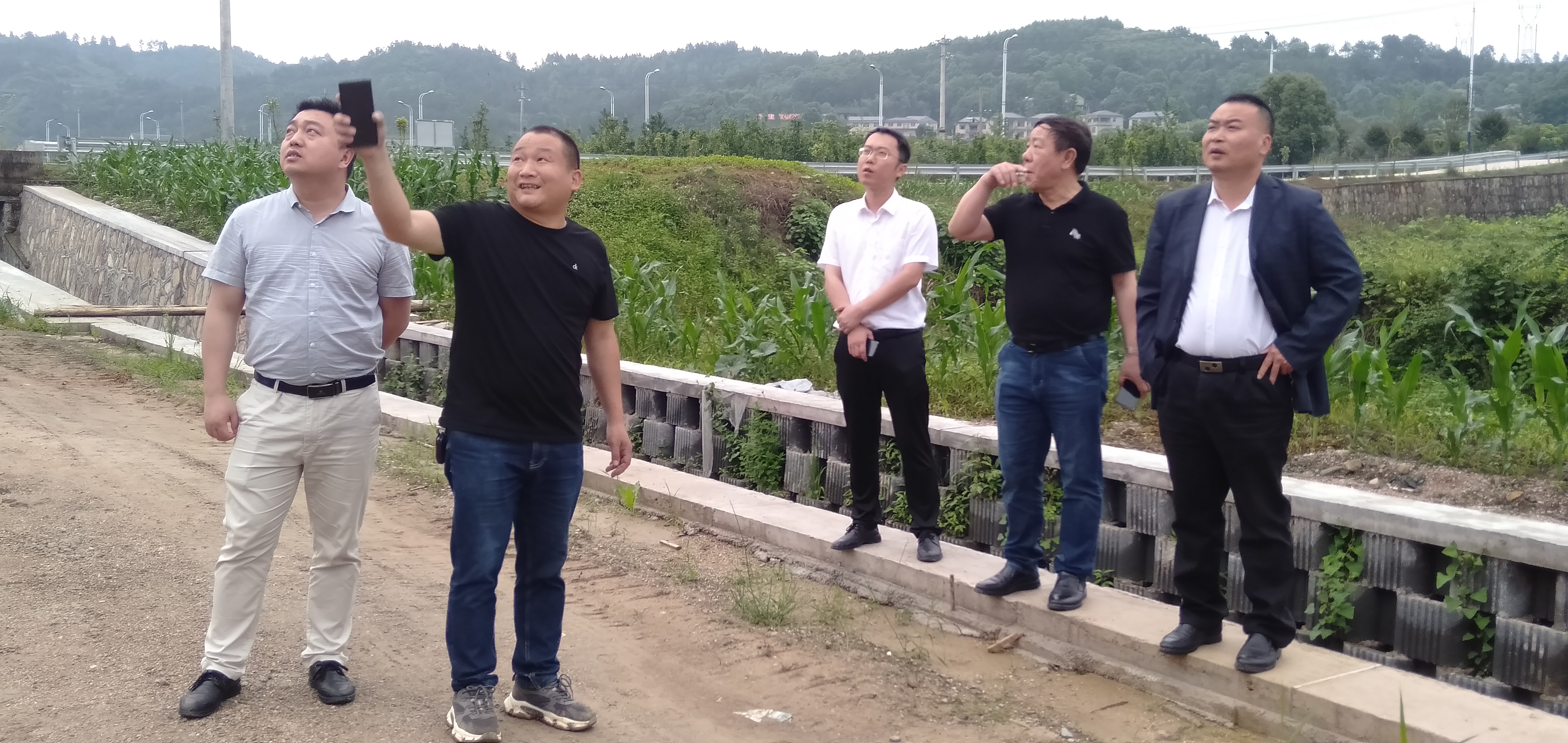 MK体育官网