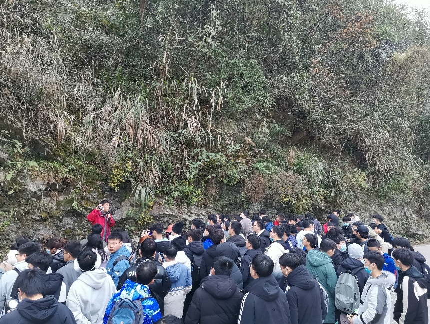MK体育官网